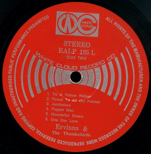 Ervinna & The Thunderbirds - Get Down - Top Hits Vol. 2 - Image 4