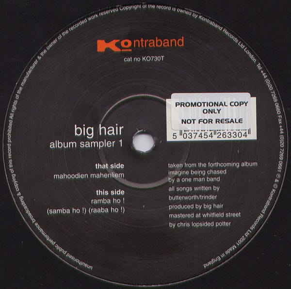Big Hair - Album Sampler 1 - Image 4